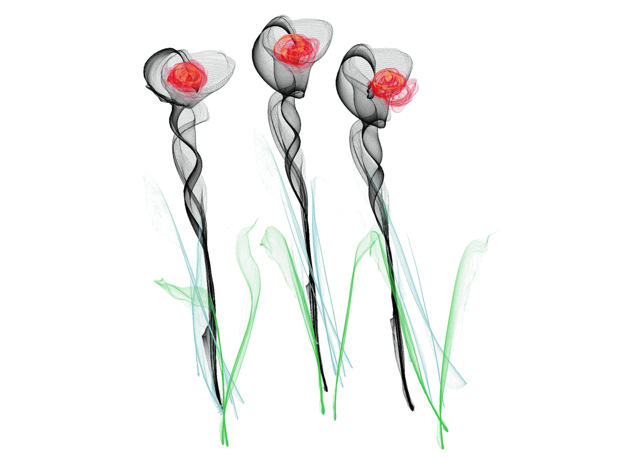 3 flowers